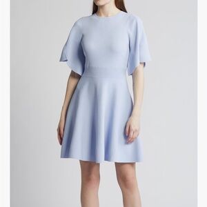 Ted Baker Elegant Light Blue Flared Dress